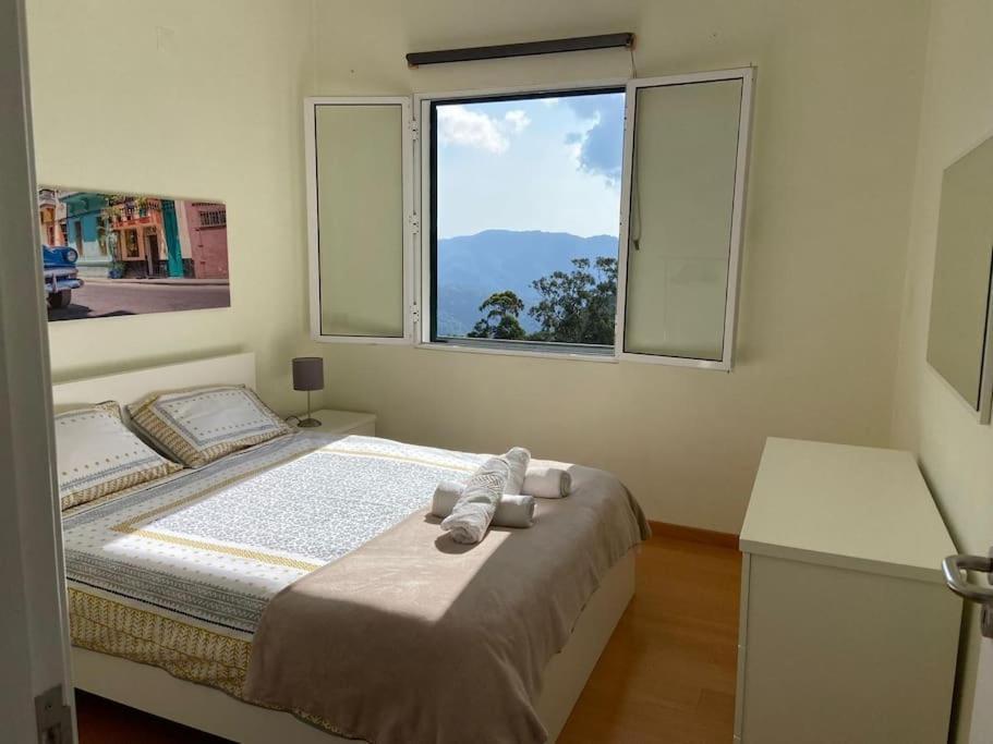 Santo Antonio da Serra The Hideaway Retreat 빌라 외부 사진